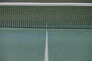 开云下载-日本乒乓球队险胜奥地利乒乓球队，许昕送出助攻