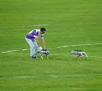 开云体育中国-NS血洗100T，Jankos拿下关键大龙宿敌对决小组赛，成为赛场最大亮点