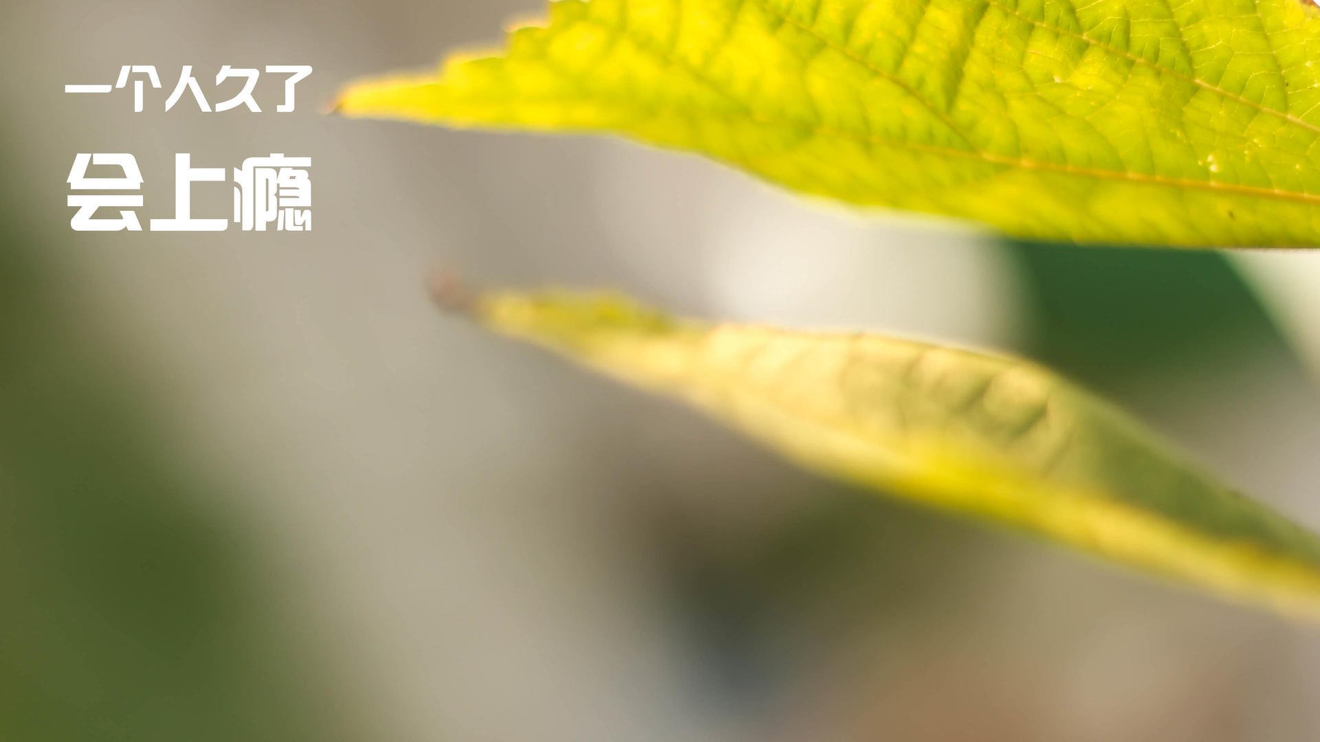 开云APP-荷兰绝地反击！末节逆转利物浦，孔德个人能力全面爆发