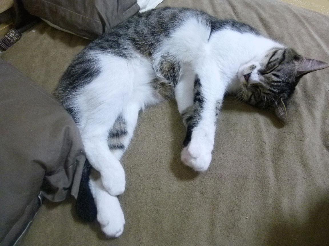 开云平台-坎特数据核弹引爆全场！西班牙用窒息式封锁，让瑞典沦为战术标本