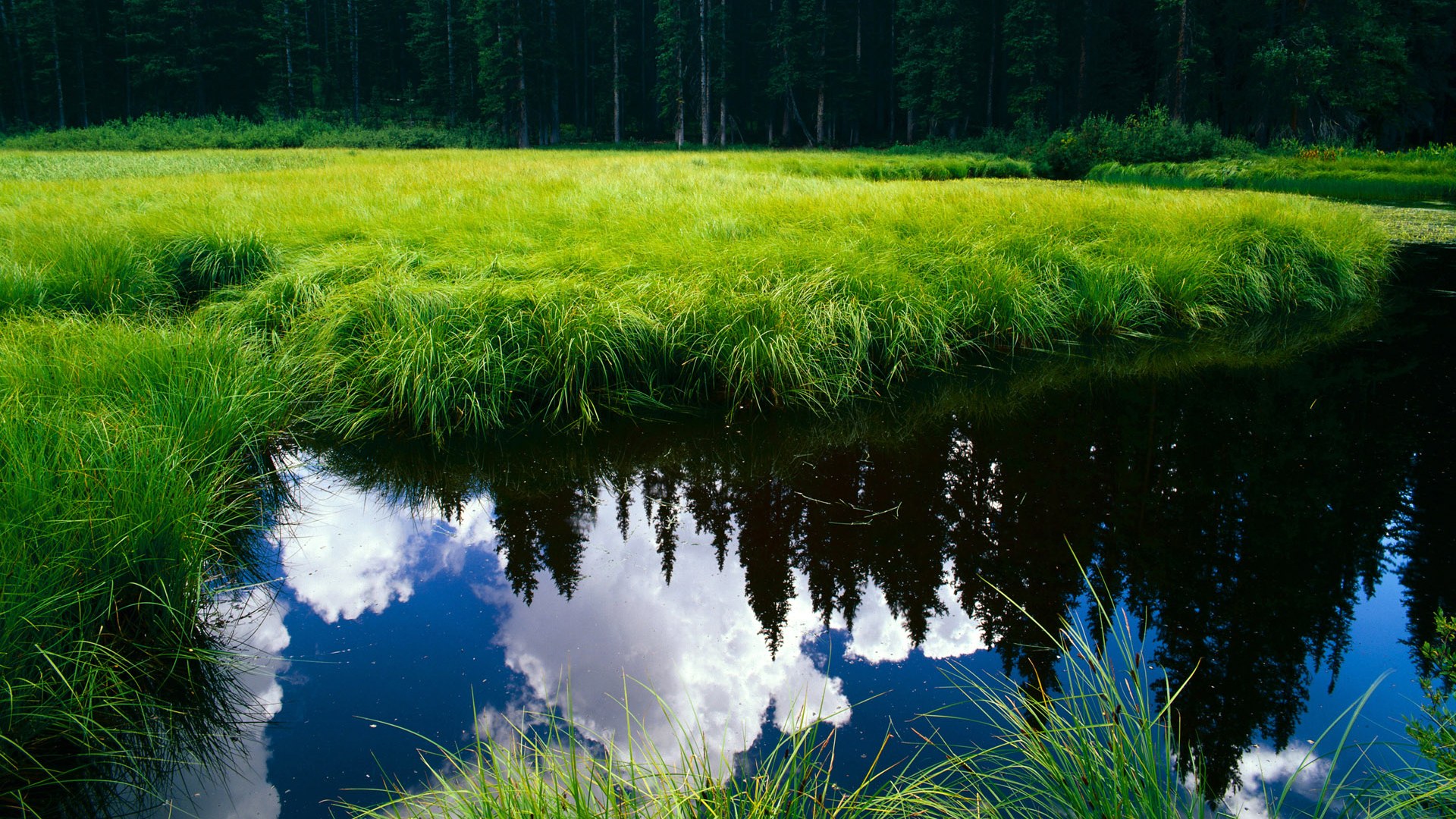 开云体育APP下载-逆风翻盘！哈登末节狂飙导演逆转，黄蜂蛰伤开拓者夺关键胜